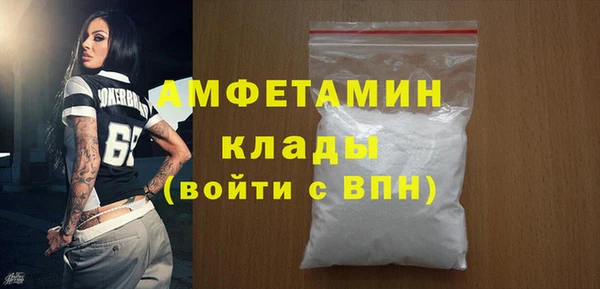 индика Абаза