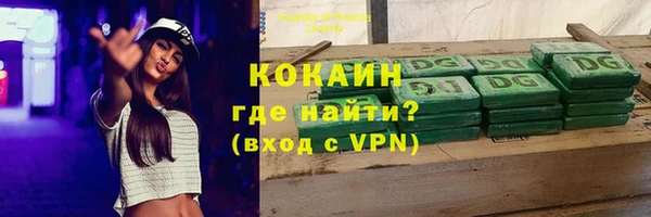 индика Абаза