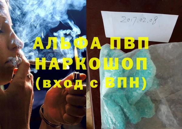 индика Абаза