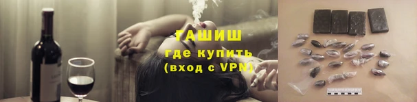 индика Абаза