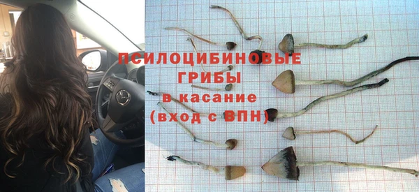 индика Абаза