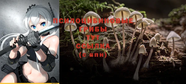 дмт Абинск