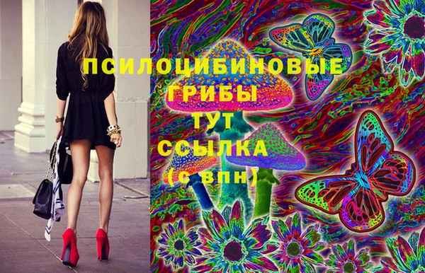 индика Абаза